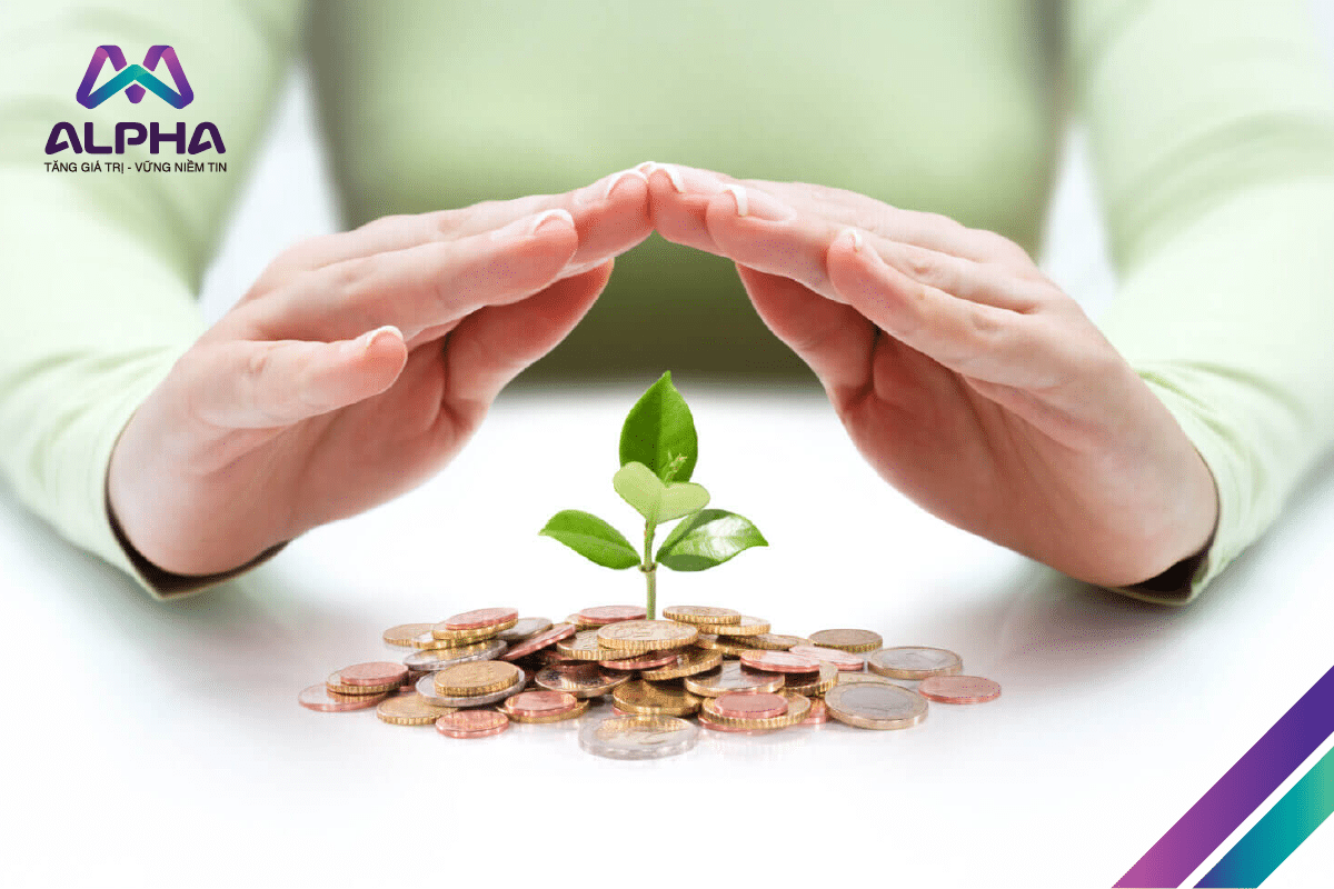 Đầu tư hiệu quả