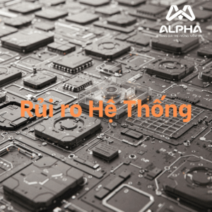 Các loại rủi ro trong đầu tư tài chính: Rủi ro Hệ Thống