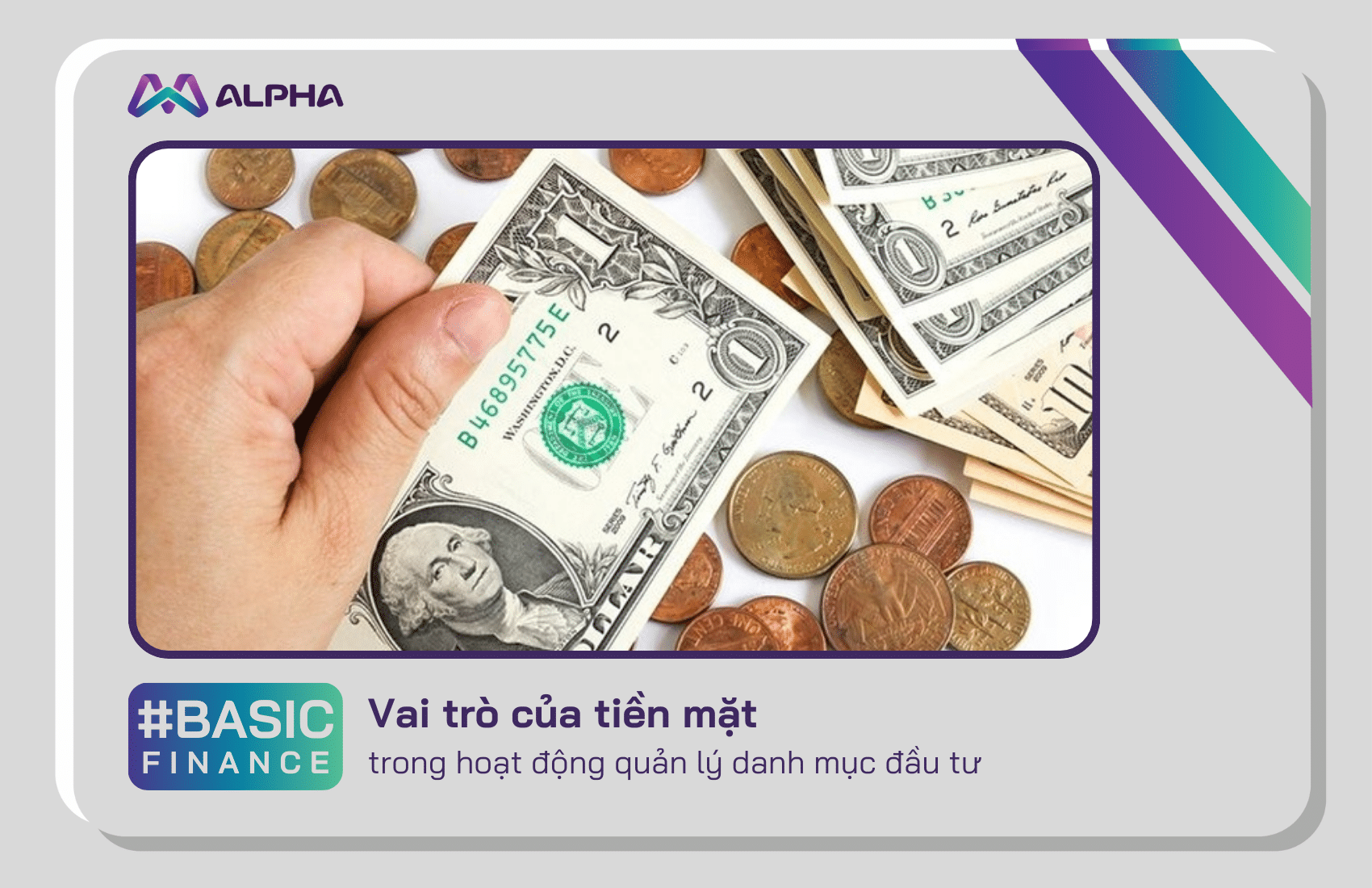 Vai trò của tiền mặt trong chiến lược quản lý danh mục đầu tư của bạn
