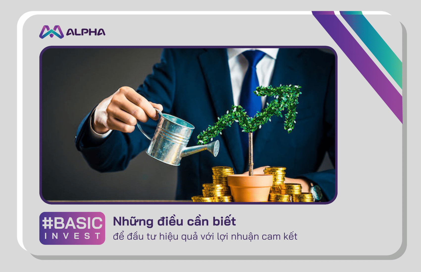 Đầu tư hiệu quả